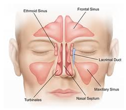 Rhinoplasty and airway obstruction