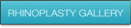 rhinoplasty-gallery-btn