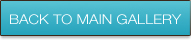 main-gallery-btn